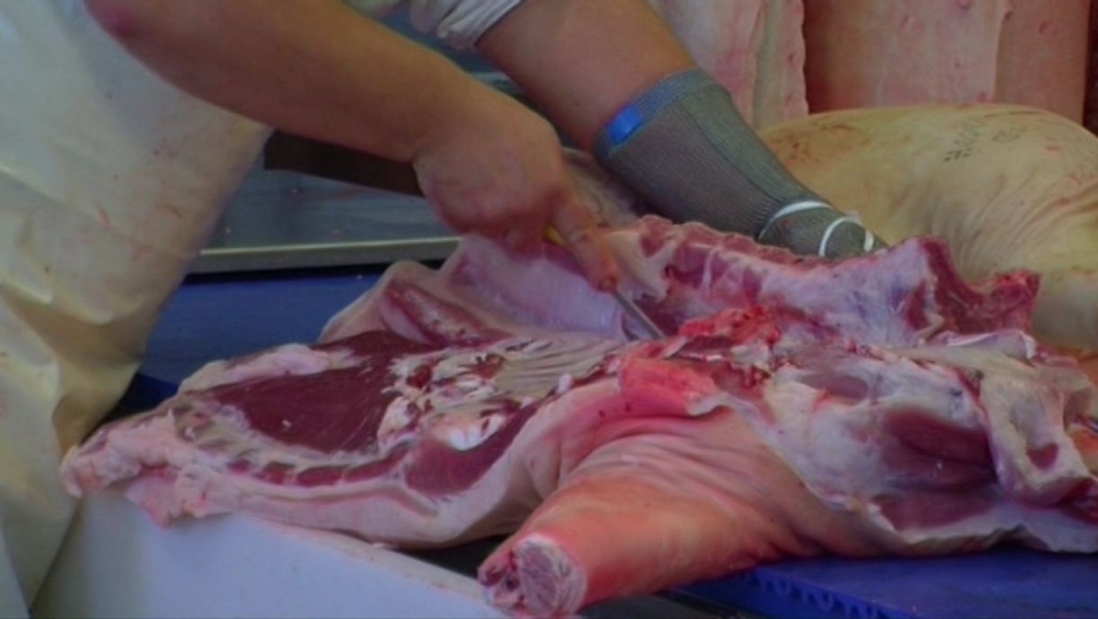 Azienda Agricola Di Lenarda Gigino