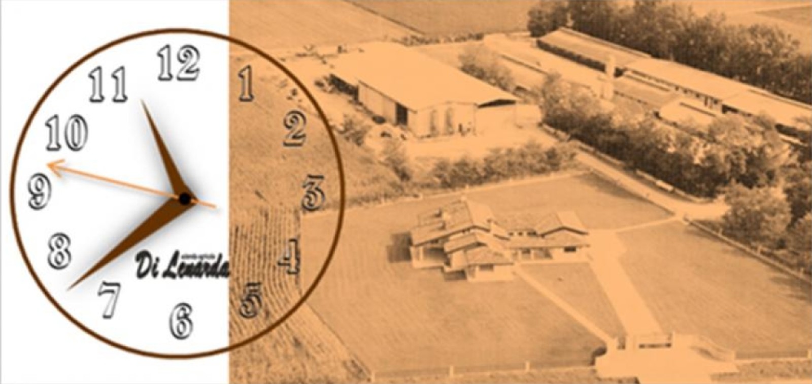 Azienda Agricola Di Lenarda Gigino